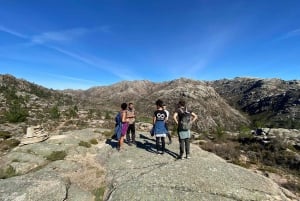 Porto: Douro Valley, 2 Wineries, Lunch, and 1-Hour Boat Tour