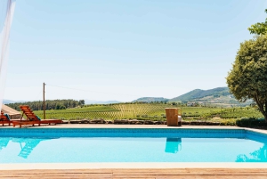 Douro Valley: Wine Tour with Lunch, Tastings & River Cruise