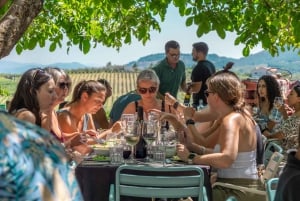 Douro Valley: Wine Tour with Lunch, Tastings & River Cruise