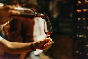 Douro Valley: Wine Tour with Lunch, Tastings & River Cruise