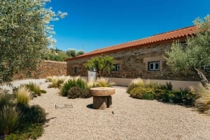 Douro Valley: Wine Tour with Lunch, Tastings & River Cruise