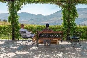 Douro Valley: Wine Tour with Lunch, Tastings & River Cruise