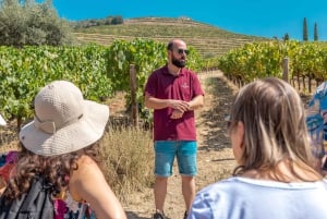 Douro Valley: Wine Tour with Lunch, Tastings & River Cruise