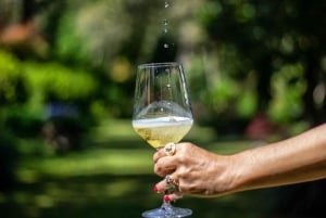 Eksklusiv Vinho Verde-opplevelse (grønn vin) og lunsj