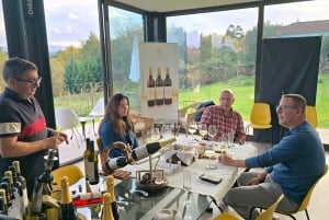 Eksklusiv Vinho Verde-opplevelse (grønn vin) og lunsj