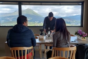 Eksklusiv Vinho Verde-opplevelse (grønn vin) og lunsj