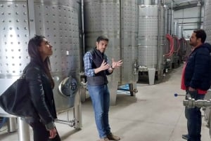 Eksklusiv Vinho Verde-opplevelse (grønn vin) og lunsj