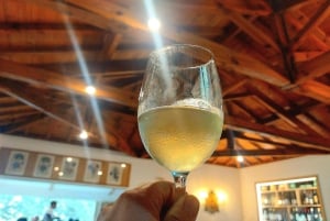 Eksklusiv Vinho Verde-opplevelse (grønn vin) og lunsj