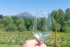 Eksklusiv Vinho Verde-opplevelse (grønn vin) og lunsj