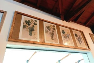 Eksklusiv Vinho Verde-opplevelse (grønn vin) og lunsj