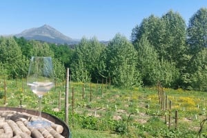 Eksklusiv Vinho Verde-opplevelse (grønn vin) og lunsj