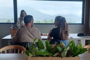 Eksklusiv Vinho Verde-opplevelse (grønn vin) og lunsj