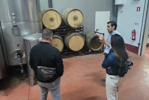 Eksklusiv Vinho Verde-opplevelse (grønn vin) og lunsj