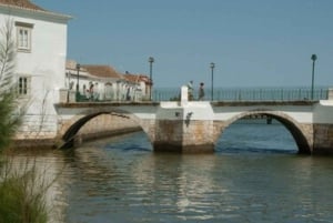 Faro: Privat dagsutflykt till Vila Real de Santo António