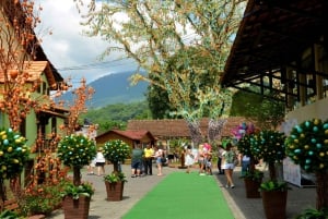 Флорианополис: однодневная поездка по германскому маршруту Блуменау и Помероде