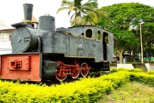 Флорианополис: однодневная поездка по германскому маршруту Блуменау и Помероде