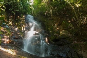 Фос-ду-Игуасу: экспедиция с гидом на каноэ и по водопадам