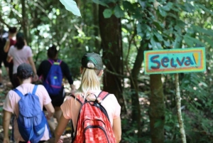 Фос-ду-Игуасу: экспедиция с гидом на каноэ и по водопадам