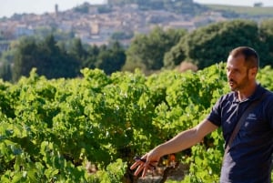 Från Avignon: Châteauneuf du Pape halvdagsutflykt i vin