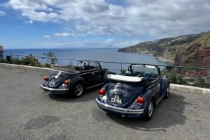 Från Funchal: Cabo Girão & Poncha provsmakning med Classic VW