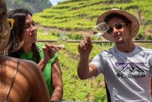 Desde Funchal: Excursión de un día completo a los Vinos de Madeira con almuerzo