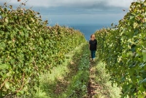 Desde Funchal: Excursión de un día completo a los Vinos de Madeira con almuerzo