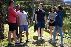 Desde Funchal: Excursión de un día completo a los Vinos de Madeira con almuerzo