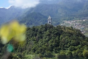 Desde Funchal: Excursión de un día completo a los Vinos de Madeira con almuerzo