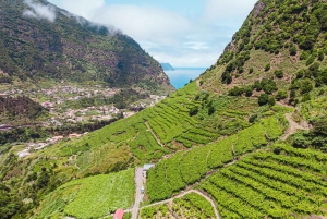 Desde Funchal: Excursión de un día completo a los Vinos de Madeira con almuerzo