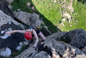 Z Funchal: Wycieczka z przewodnikiem, z odbiorem z hotelu