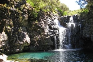 Fra Funchal: Madeira Levada-sjøene - guidet fottur