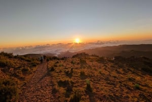 From Funchal: Pico do Arieiro Sunrise & Optional Breakfast