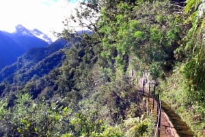 Из Фуншала: прогулка по Леваде в долине Сан-Хорхе