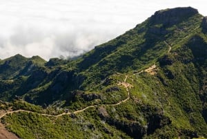 Funchalista: Kuljetus Pico do Arieiron ja Pico Ruivon polulle.