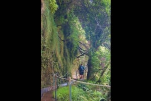 Från Funchal: Blöt håret i den fantastiska Moinhos Levada