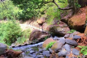 Från Funchal: Blöt håret i den fantastiska Moinhos Levada