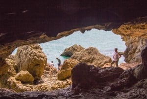 Z Lizbony: Jednodniowa wycieczka i degustacja wina w Arrábida