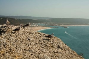 Из Лиссабона: индивидуальный тур на целый день в Фатиму, Назаре и Обидуш