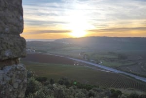 Da Lisbona: Tour Medievale, Batalha, Tomar, Alcobaça, Óbidos