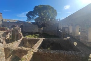 Da Lisbona: Tour Medievale, Batalha, Tomar, Alcobaça, Óbidos
