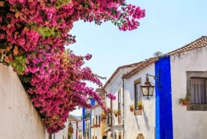 Desde Lisboa: Oporto, Aveiro y Portugal Apasionado 3 Días