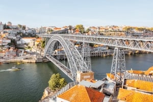 Da Lisbona: tour privato di Porto con degustazione di vini a Gaia