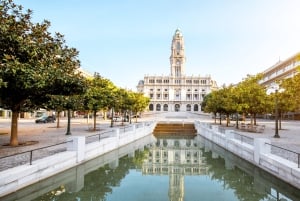 Da Lisbona: tour privato di Porto con degustazione di vini a Gaia