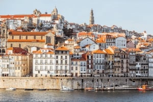Da Lisbona: tour privato di Porto con degustazione di vini a Gaia