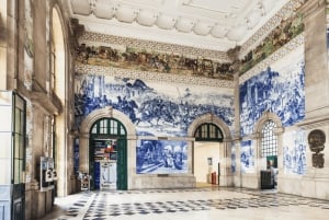 Da Lisbona: tour privato di Porto con degustazione di vini a Gaia