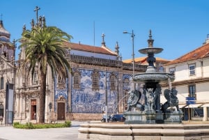 Da Lisbona: tour privato di Porto con degustazione di vini a Gaia