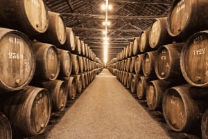 Da Lisbona: tour privato di Porto con degustazione di vini a Gaia