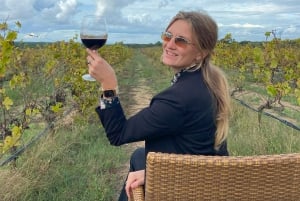 De Lisboa: Tour particular de vinhos com prova de vinhos e queijos