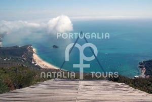 De Lisboa: Tour particular de vinhos com prova de vinhos e queijos