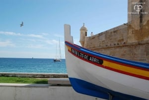 De Lisboa: Tour particular de vinhos com prova de vinhos e queijos